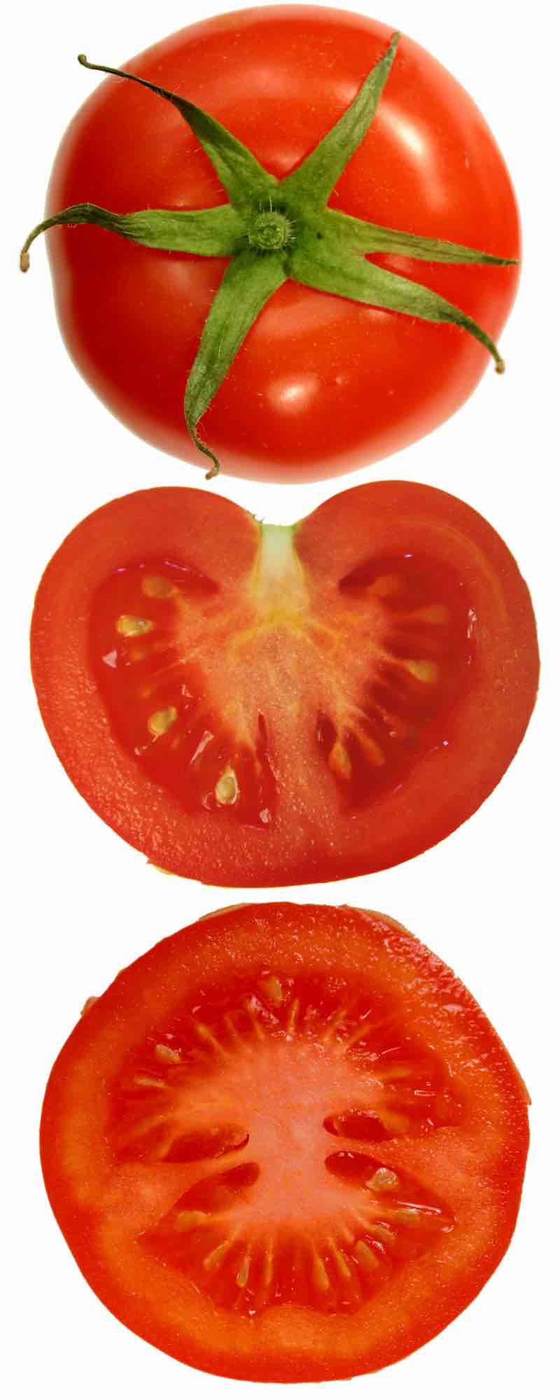 tomato